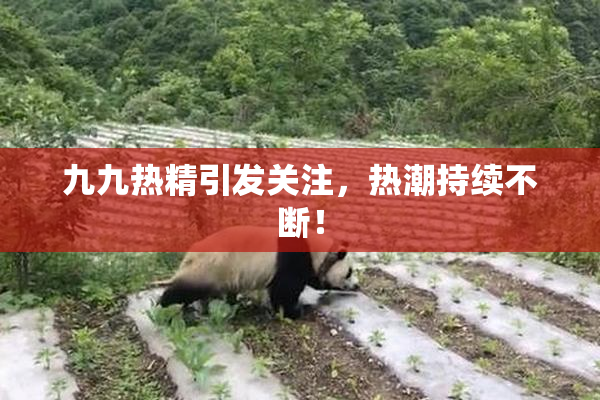 九九热精引发关注，热潮持续不断！