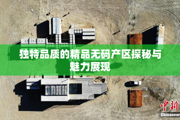 独特品质的精品无码产区探秘与魅力展现