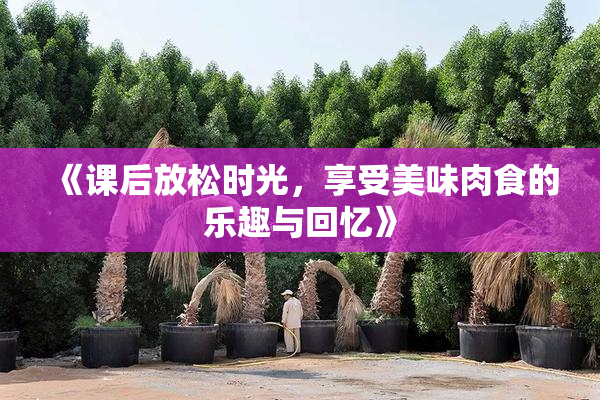 《课后放松时光，享受美味肉食的乐趣与回忆》
