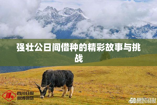 强壮公日间借种的精彩故事与挑战