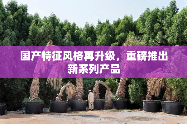 国产特征风格再升级，重磅推出新系列产品
