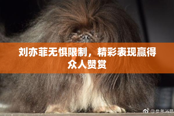 刘亦菲无惧限制，精彩表现赢得众人赞赏