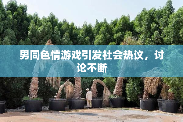 男同色情游戏引发社会热议，讨论不断