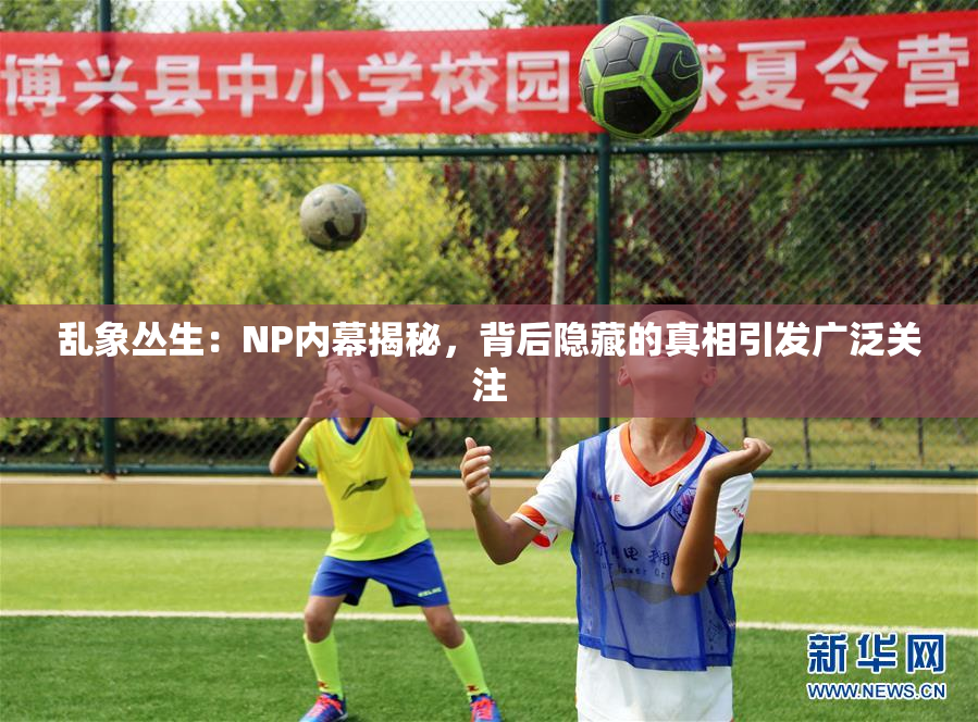 乱象丛生：NP内幕揭秘，背后隐藏的真相引发广泛关注
