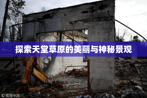 探索天堂草原的美丽与神秘景观