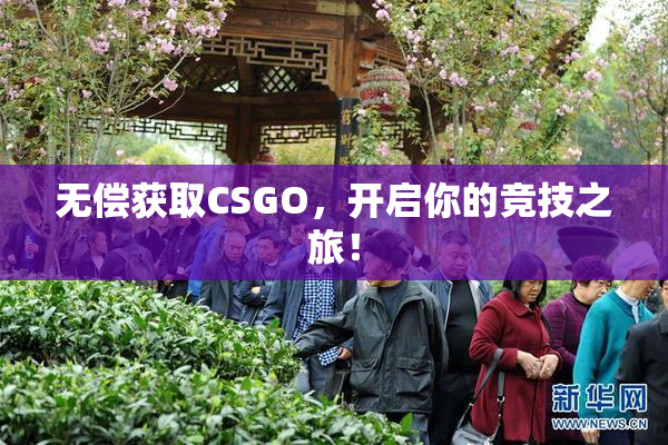 无偿获取CSGO，开启你的竞技之旅！