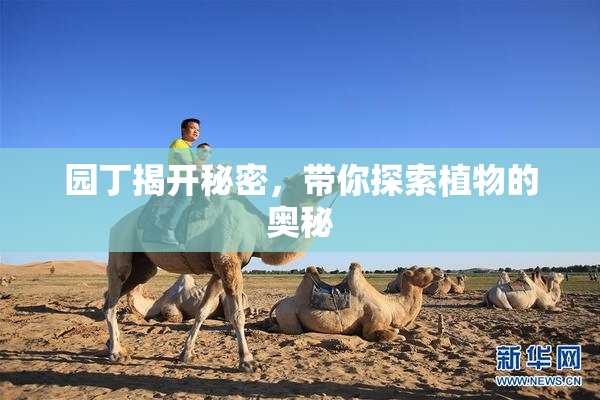 园丁揭开秘密，带你探索植物的奥秘