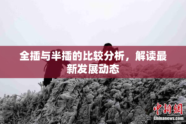 全插与半插的比较分析，解读最新发展动态