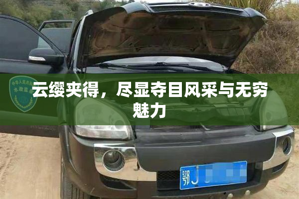 云缨夹得，尽显夺目风采与无穷魅力