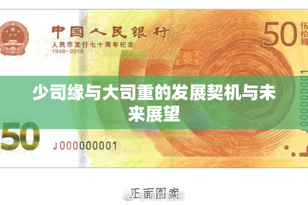 少司缘与大司重的发展契机与未来展望