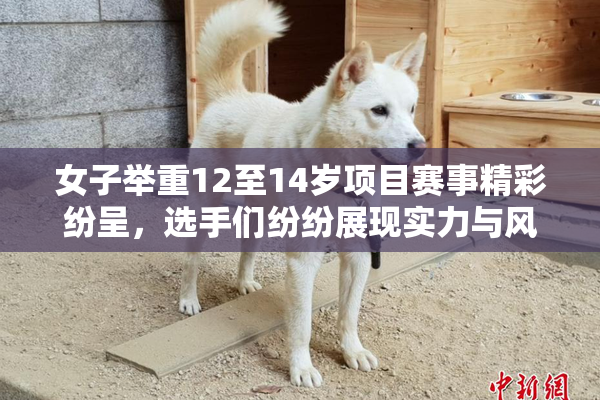 女子举重12至14岁项目赛事精彩纷呈，选手们纷纷展现实力与风采