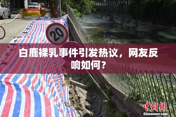 白鹿裸乳事件引发热议，网友反响如何？