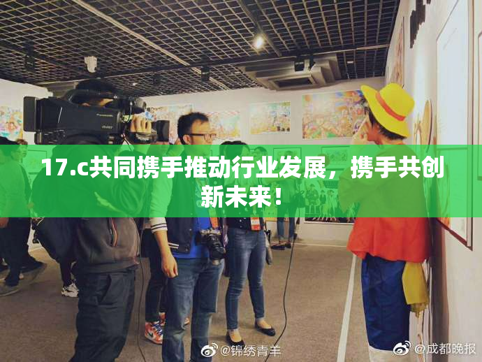17.c共同携手推动行业发展，携手共创新未来！