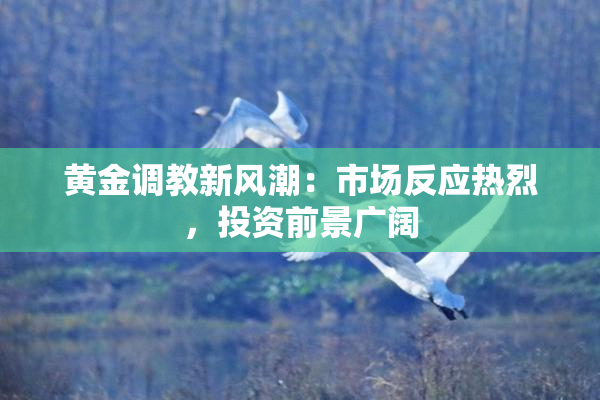 黄金调教新风潮：市场反应热烈，投资前景广阔