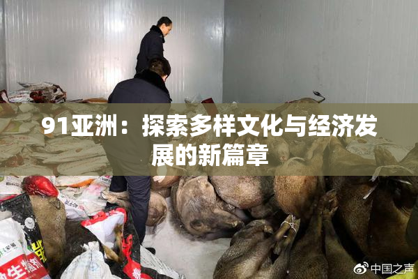91亚洲：探索多样文化与经济发展的新篇章