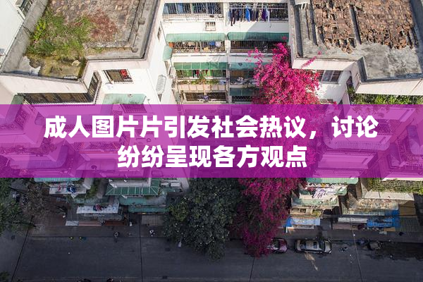 成人图片片引发社会热议，讨论纷纷呈现各方观点