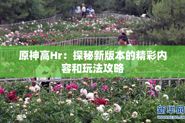 原神高Hr：探秘新版本的精彩内容和玩法攻略
