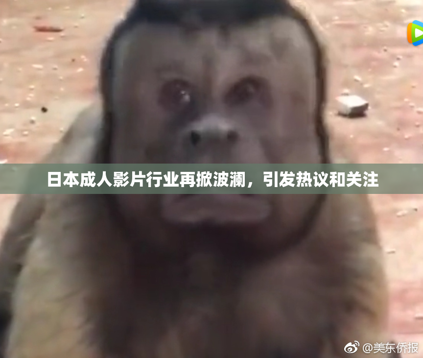 日本成人影片行业再掀波澜，引发热议和关注
