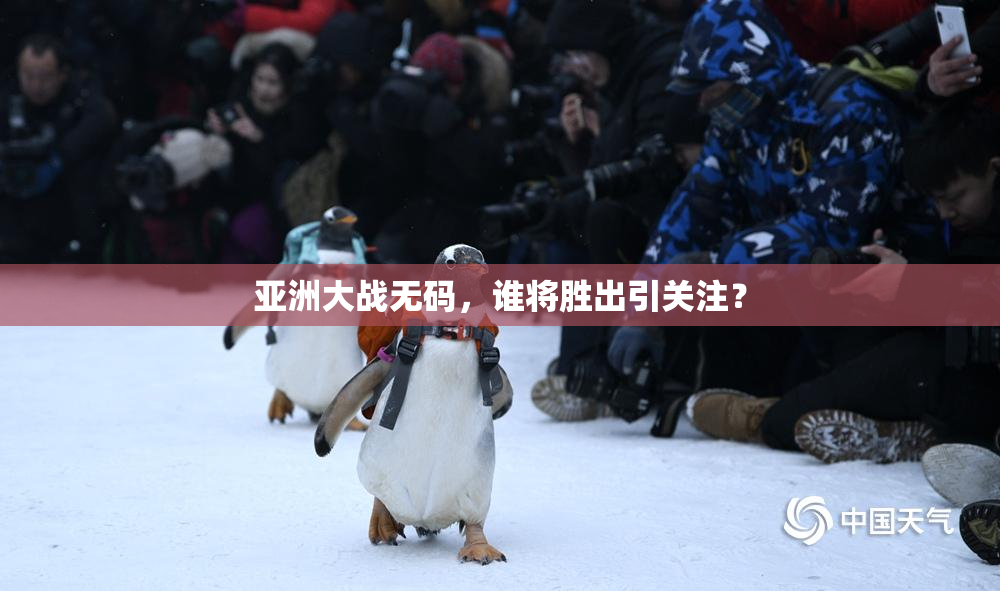 亚洲大战无码，谁将胜出引关注？