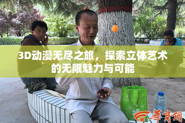 3D动漫无尽之旅，探索立体艺术的无限魅力与可能
