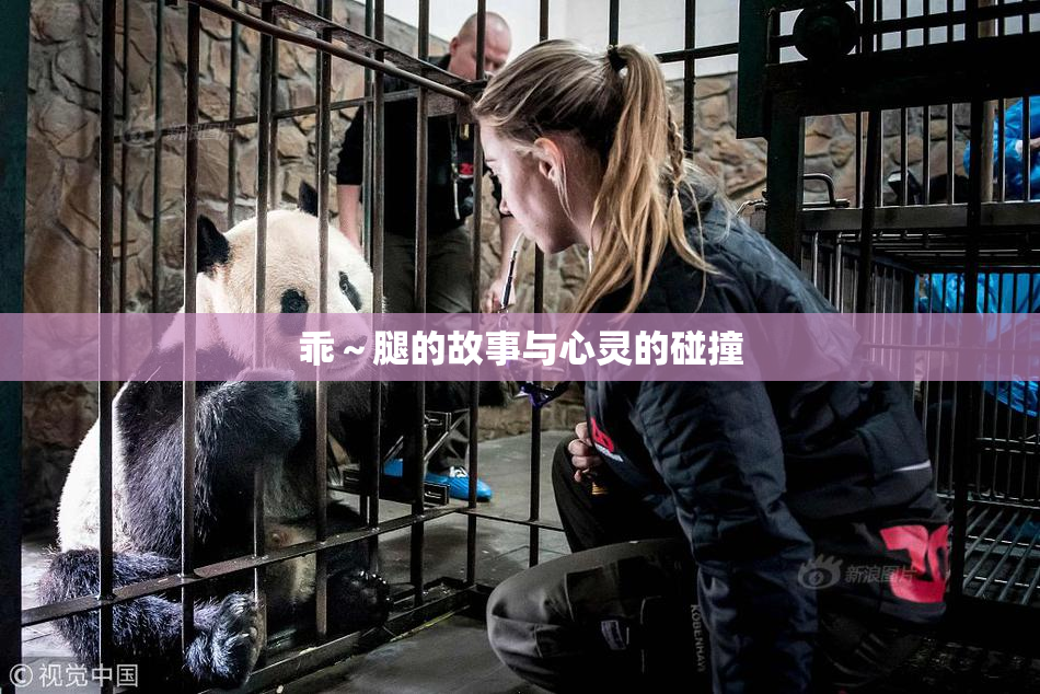 乖～腿的故事与心灵的碰撞