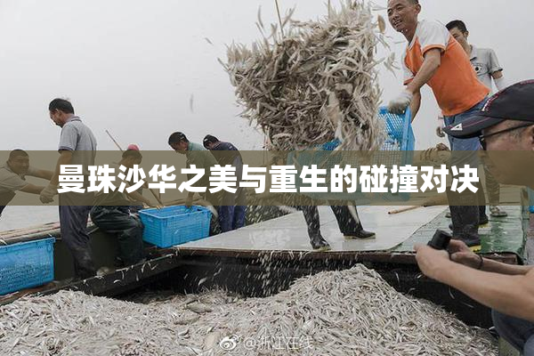 曼珠沙华之美与重生的碰撞对决