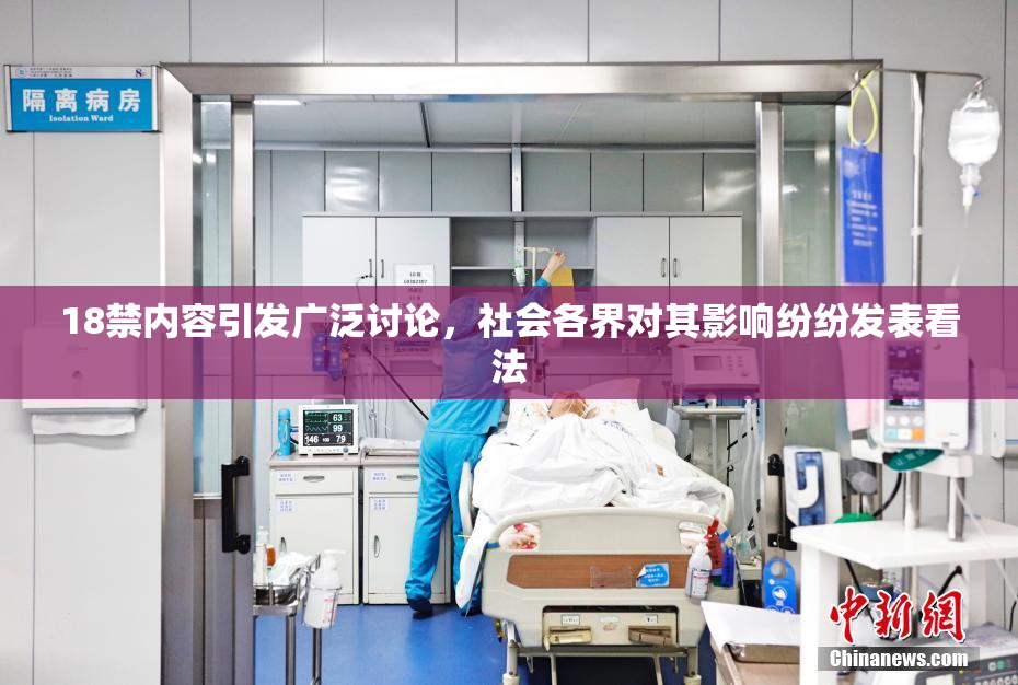 18禁内容引发广泛讨论，社会各界对其影响纷纷发表看法