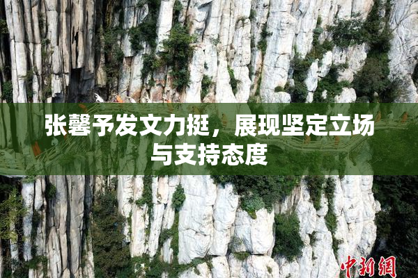 张馨予发文力挺，展现坚定立场与支持态度