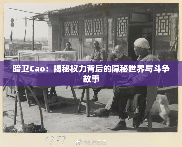 暗卫Cao：揭秘权力背后的隐秘世界与斗争故事