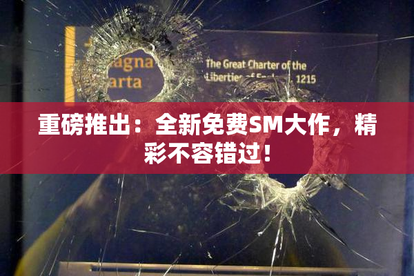 重磅推出：全新免费SM大作，精彩不容错过！