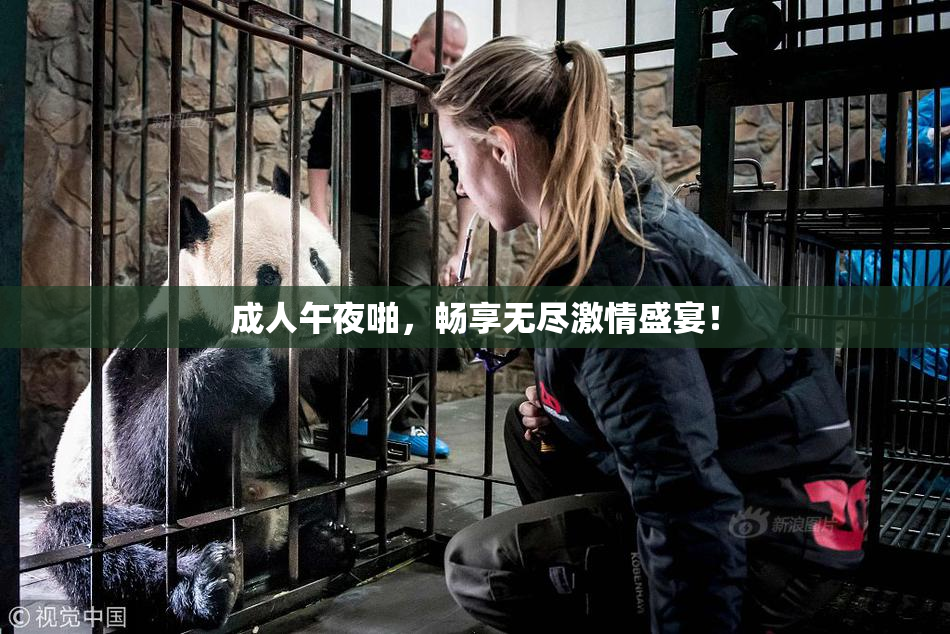 成人午夜啪，畅享无尽激情盛宴！