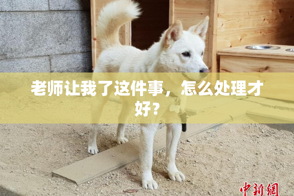 老师让我了这件事，怎么处理才好？