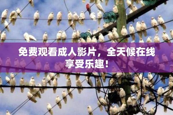 免费观看成人影片，全天候在线享受乐趣！
