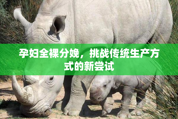 孕妇全裸分娩，挑战传统生产方式的新尝试