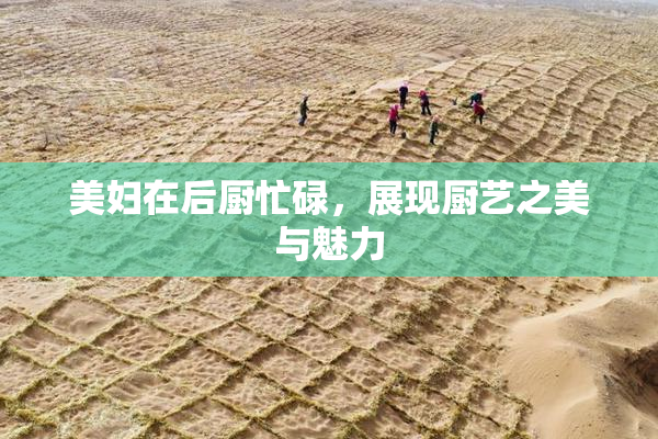 美妇在后厨忙碌，展现厨艺之美与魅力