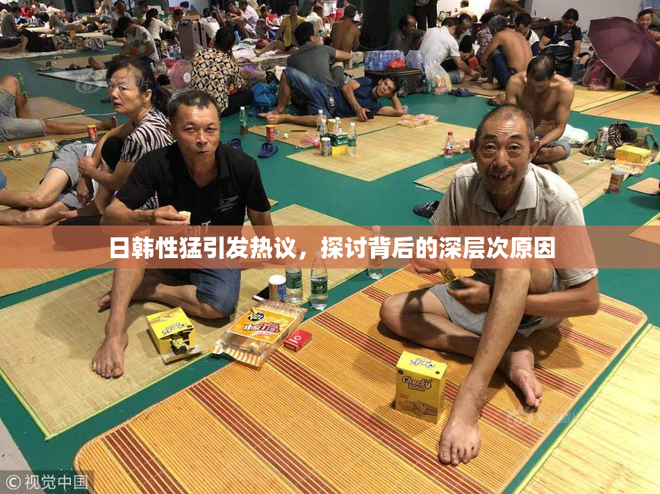 日韩性猛引发热议，探讨背后的深层次原因