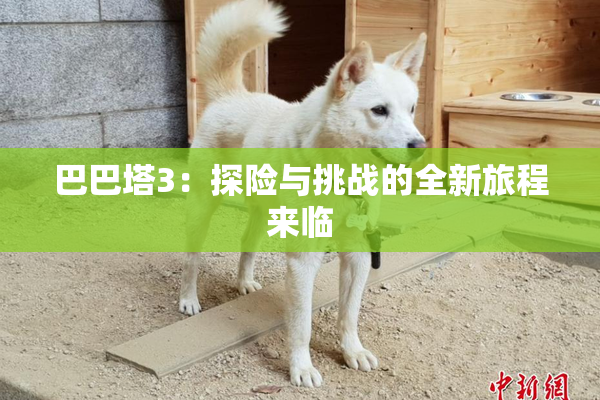 巴巴塔3：探险与挑战的全新旅程来临