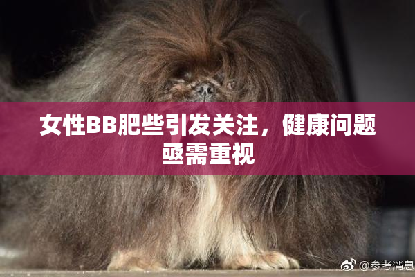 女性BB肥些引发关注，健康问题亟需重视