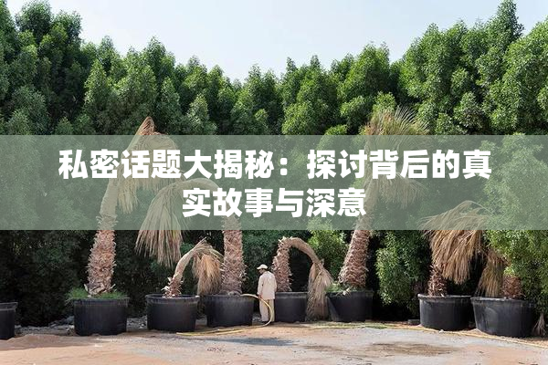 私密话题大揭秘：探讨背后的真实故事与深意