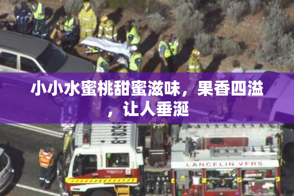 小小水蜜桃甜蜜滋味，果香四溢，让人垂涎