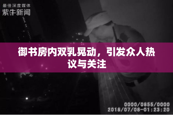 御书房内双乳晃动，引发众人热议与关注