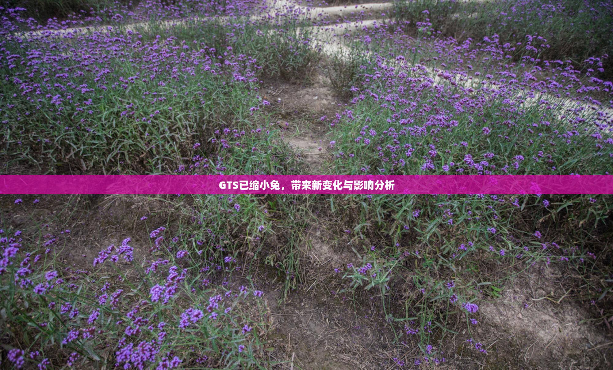 GTS已缩小免，带来新变化与影响分析