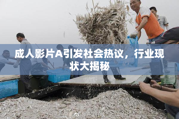 成人影片A引发社会热议，行业现状大揭秘