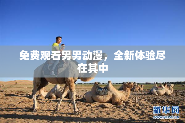 免费观看男男动漫，全新体验尽在其中