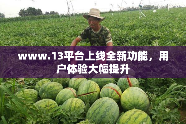 www.13平台上线全新功能，用户体验大幅提升