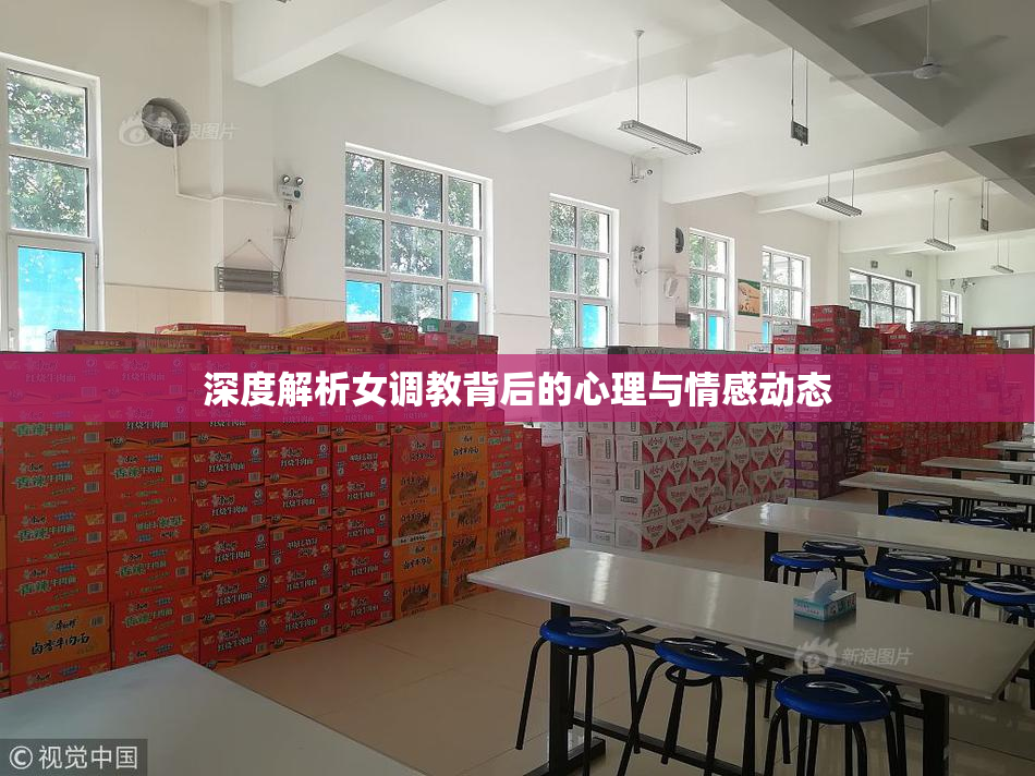 深度解析女调教背后的心理与情感动态