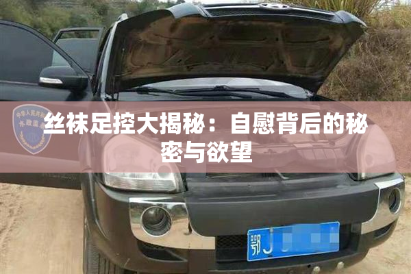 丝袜足控大揭秘：自慰背后的秘密与欲望