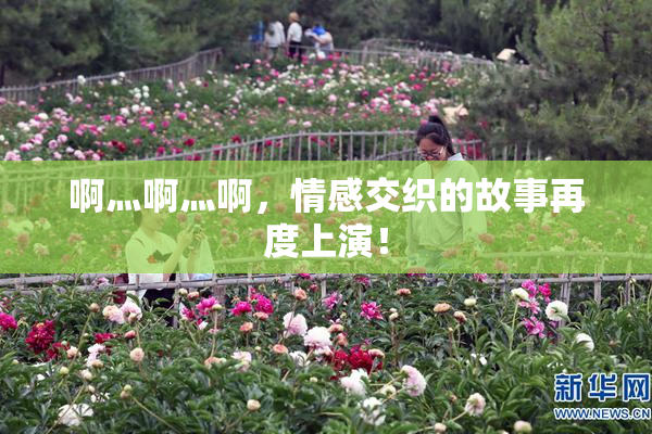 啊灬啊灬啊，情感交织的故事再度上演！