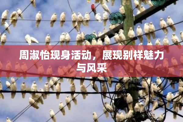 周淑怡现身活动，展现别样魅力与风采