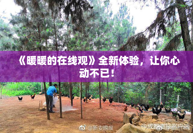 《暖暖的在线观》全新体验，让你心动不已！